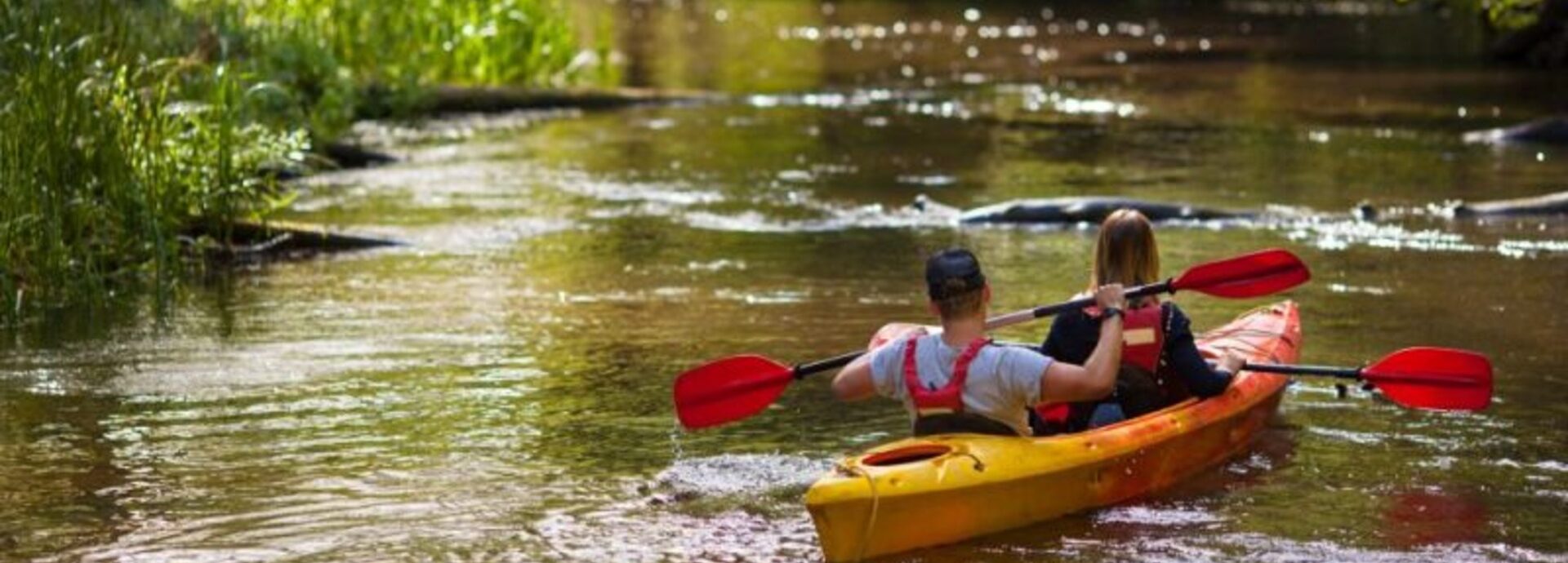 large_4eead801dbbc4fd45e8ab4c13dabdbe1-800x533-1