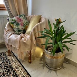 468363478_546310861535062_4565451739042558607_n