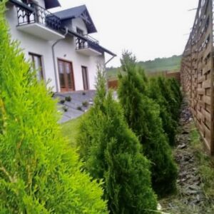 468390276_546325504866931_4666861988509926199_n