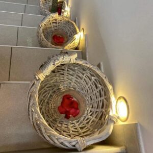 468534924_546310511535097_7789691237617128757_n