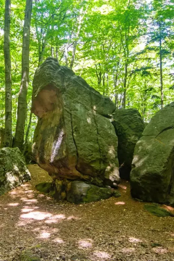 wycieczki piesze Świętokrzyskie z przewodnikiem